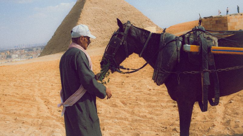 A local man feeding a horse near the Pyramids of Giza, with one of the pyramids visible in the sandy background