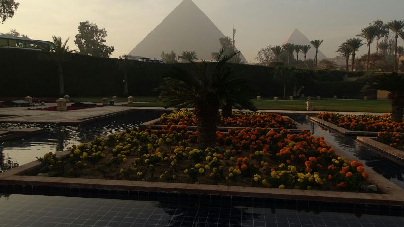 A garden with vibrant flowers in front of the Pyramids of Giza