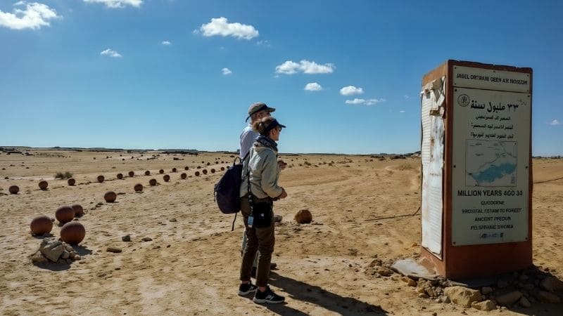 Visitors exploring the Wadi Al-Hitan Fossil Site in Egypt, learning about ancient whale fossils in a desert environment