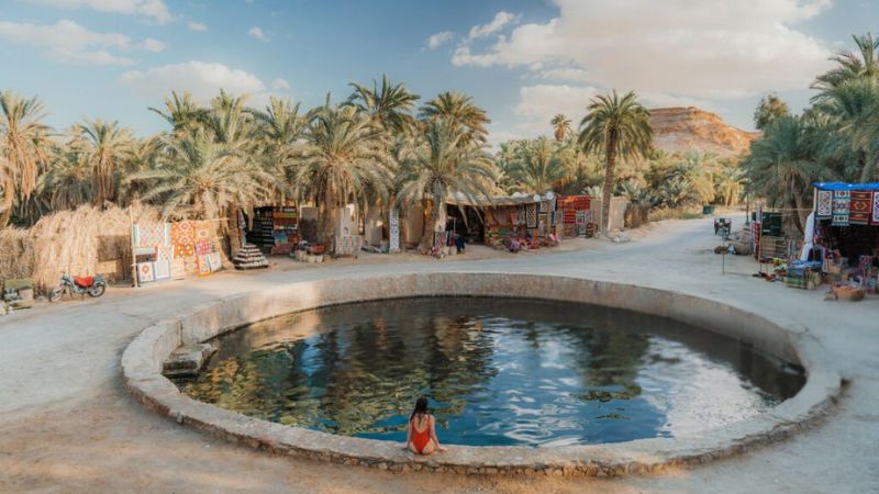 A tranquil natural spring surrounded by palm trees and local shops in Siwa Oasis, Egypt