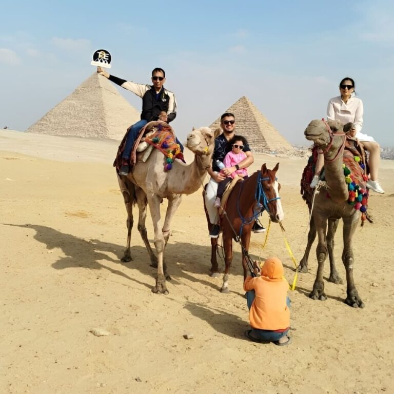 A colorful camel resting on the sands of Giza with the iconic pyramids in the background under a clear blue sky