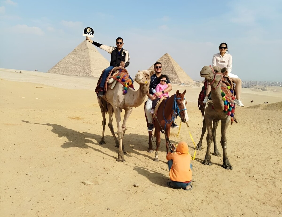 A colorful camel resting on the sands of Giza with the iconic pyramids in the background under a clear blue sky