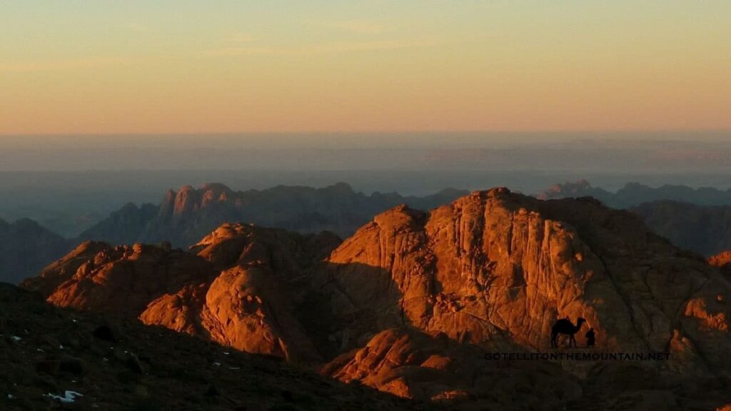 A stunning view of Sinai's golden mountains at sunrise, with silhouettes of a camel and a guide against the rugged desert terrain.