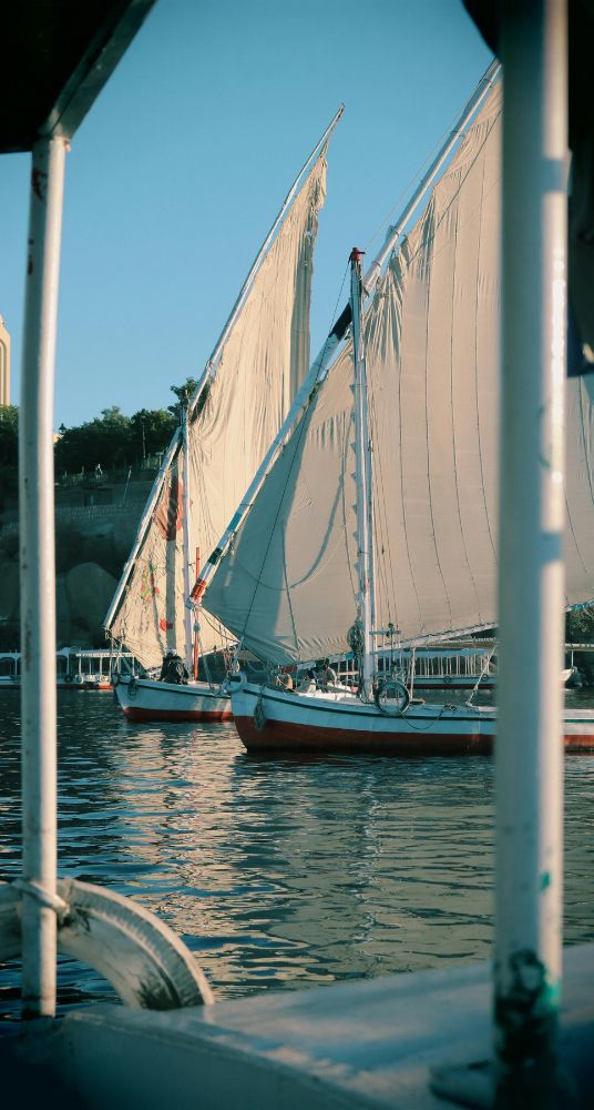 Traditional Egyptian feluccas with large white sails gliding across the Nile River