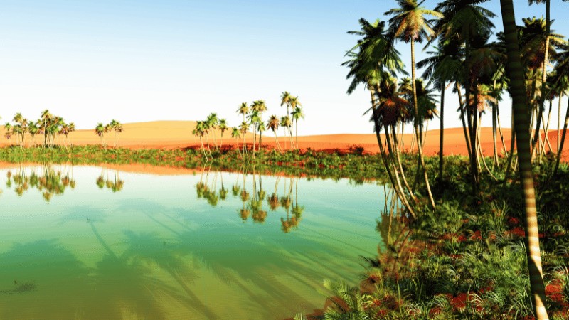 Scenic view of Fayoum Oasis in Egypt with lush greenery palm trees and a tranquil lake surrounded by desert landscapes