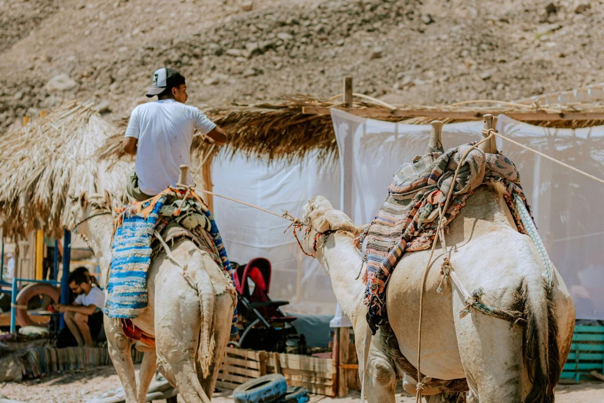 Dahab’s golden beaches and crystal-clear waters along the Red Sea