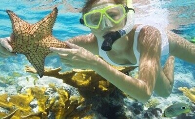giftun island snorkeling trips in hurghada 1