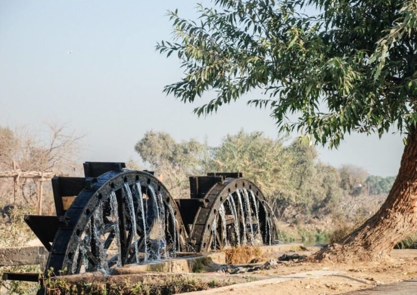 Traditional wooden waterwheels in Al Fayoum used for irrigation