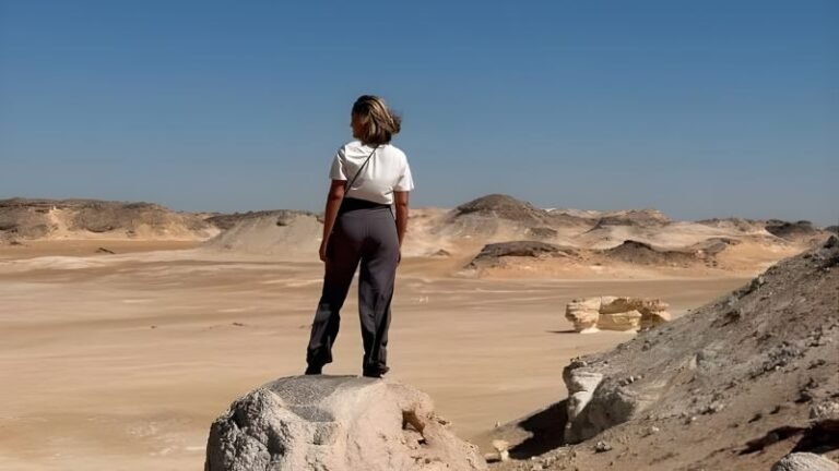 overlooking the western desert (2)
