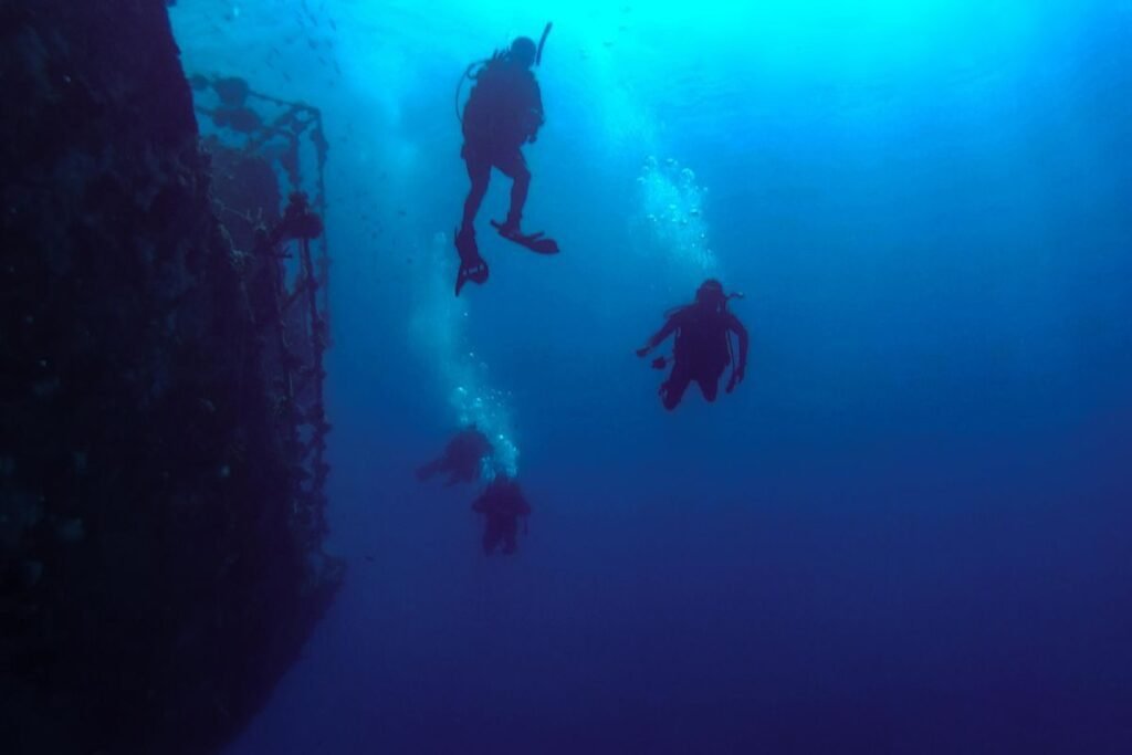 Diving in the Red Sea