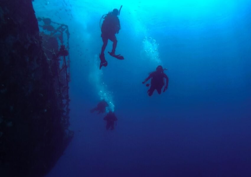 Diving in the Red Sea