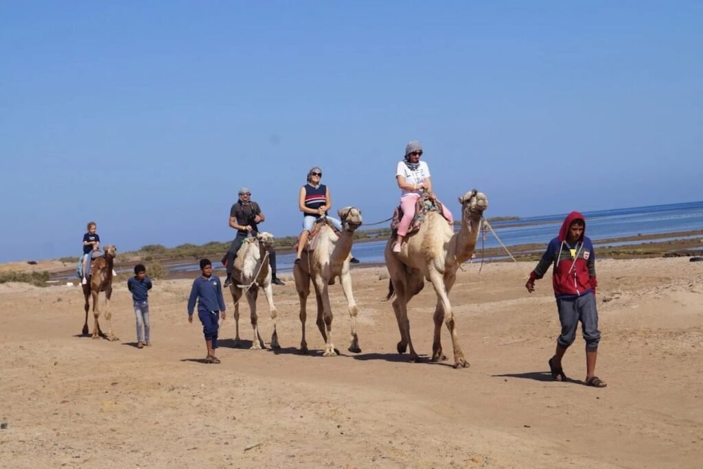 Tourists riding camels along the Red Sea shore in Egypt.
