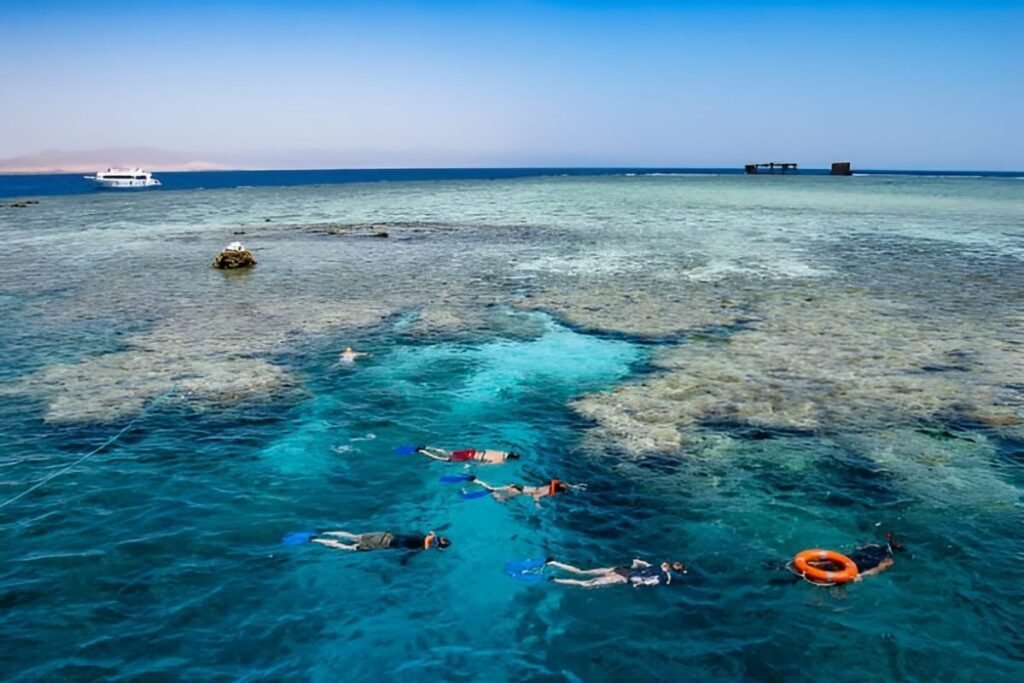 Snorkelling Adventures in the Red Sea