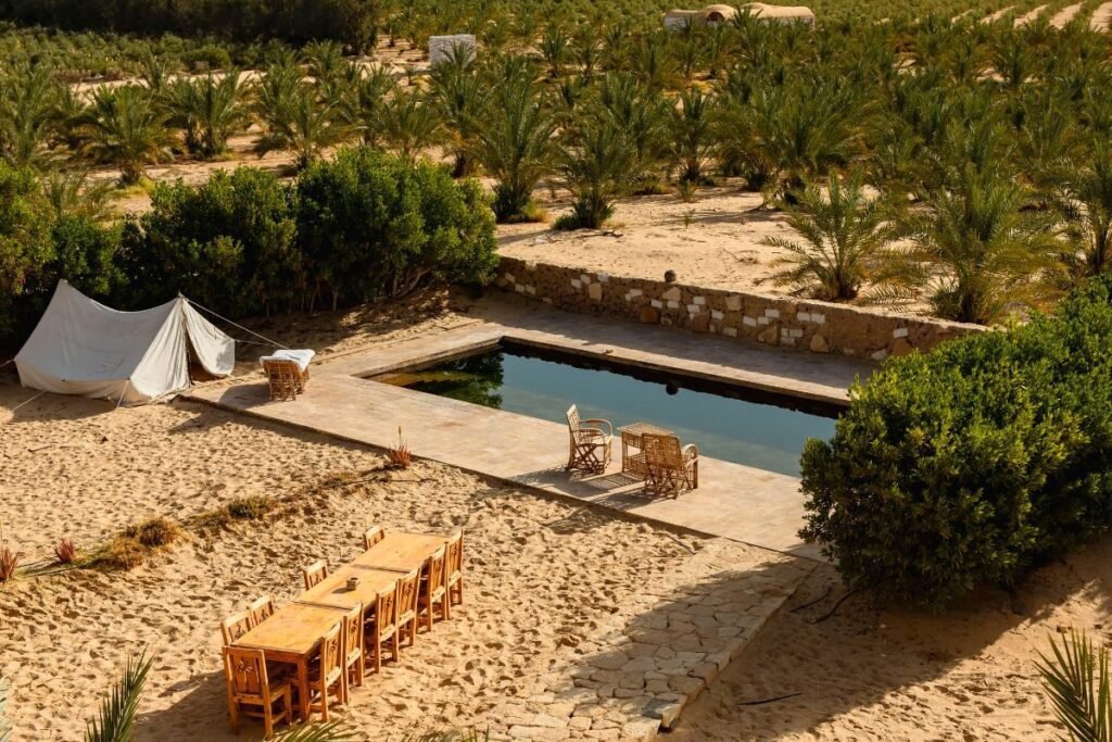 desert camp with pool and palm grove siwa oasis egypt