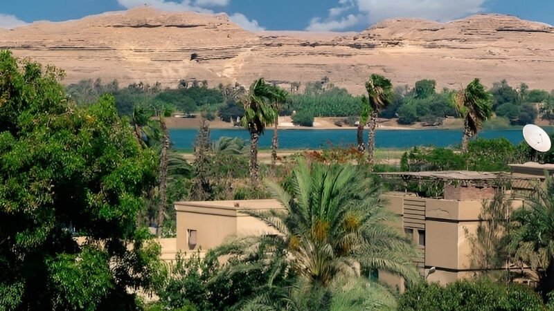 Scenic view of Qarun Lake with palm trees and calm water under a clear sky