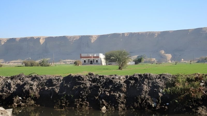 Traditional Egyptian rural house with palm trees and farmland under clear sky